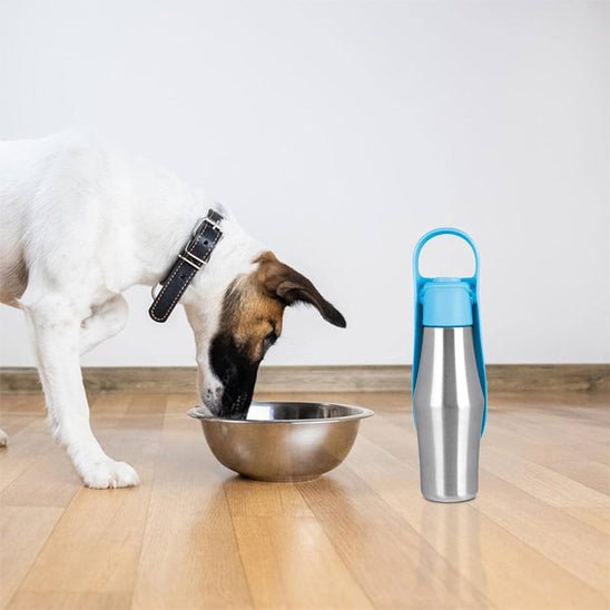gourde-pour-chien-dogbottle-chien-bleu-blanc