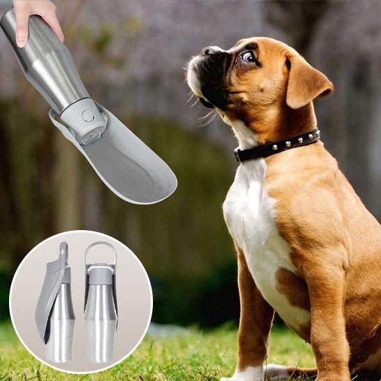 gourde-pour-chien-dogbottle-chien-gris
