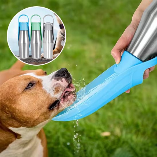 gourde-pour-chien-dogbottle-chien-trois-couleurs