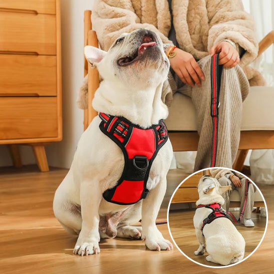 harnais-chien-anti-traction-antipull-roue-blanc-chien