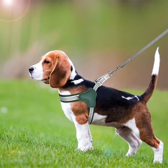 harnais-chien-dogcar-debout-noir-chien