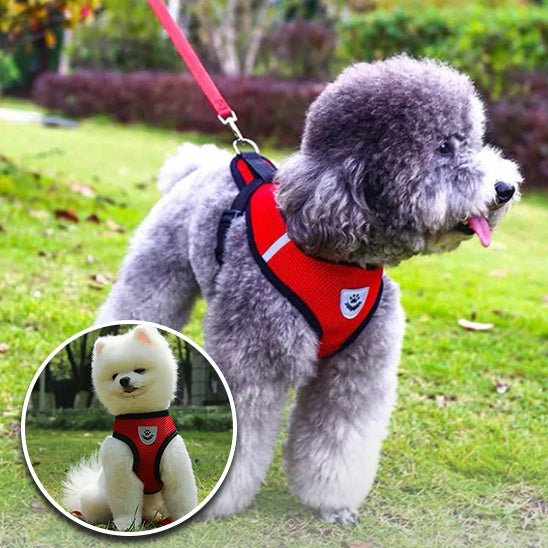 harnais-chien-harness-rouge-gris-chien