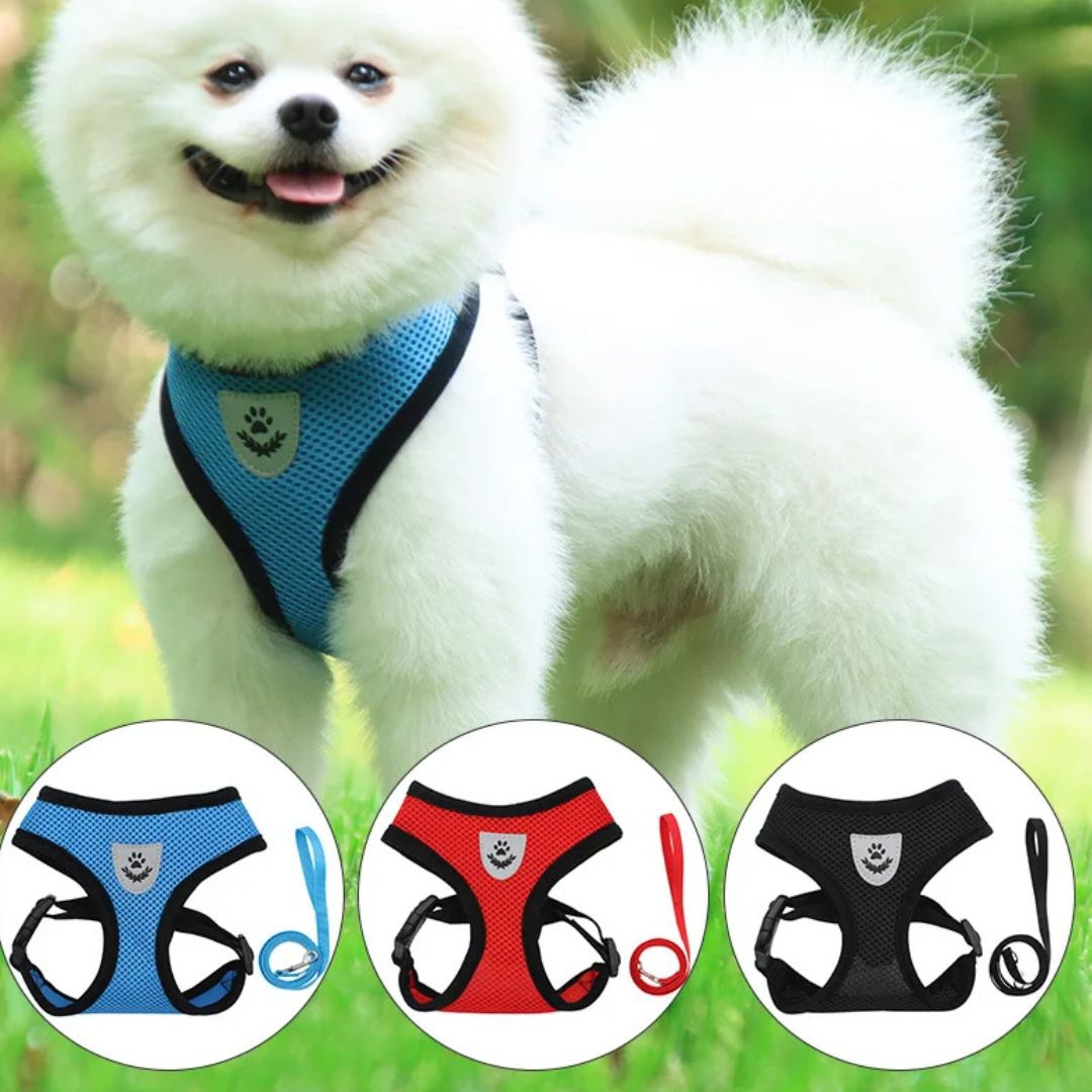 harnais-chien-harness-trois-couleurs-chien