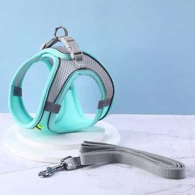 Harnais pour chien DogHarness bleu chien