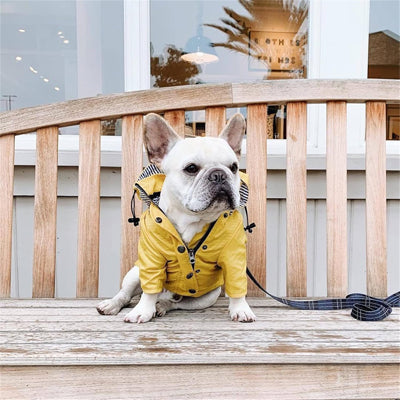 Imperméable pour chien touttempsmd jaune coucher chien