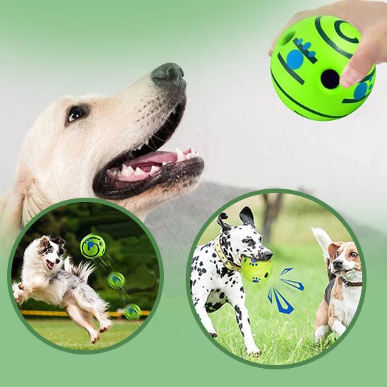 jouet-balle-pour-chien-balltoy-regarde-maitre