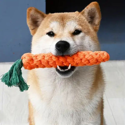 Jouet chien DuRactif carotte assis brun chien