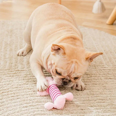 Jouet chien duraligent coucher rose chien