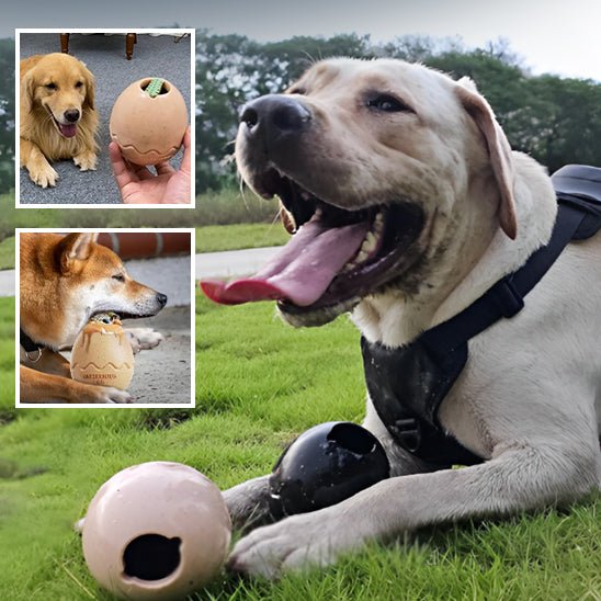 Jouet oeuf a macher chewy chien coucher deux balles