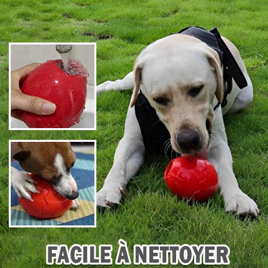 Jouet oeuf a macher chewy chien lerche balle