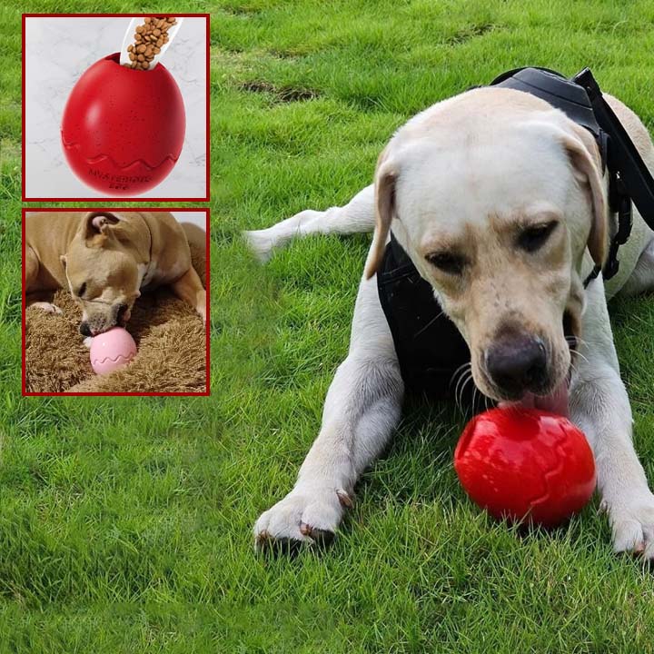 Jouet oeuf a macher chewy chien lerche