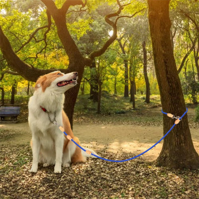 Laisse chien dogchai attache arbre bleu chien