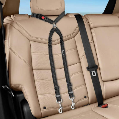 Laisse chien Harnes auto deux chiens