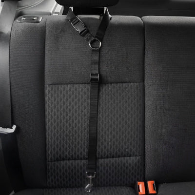 Laisse chien SheDog noir chien