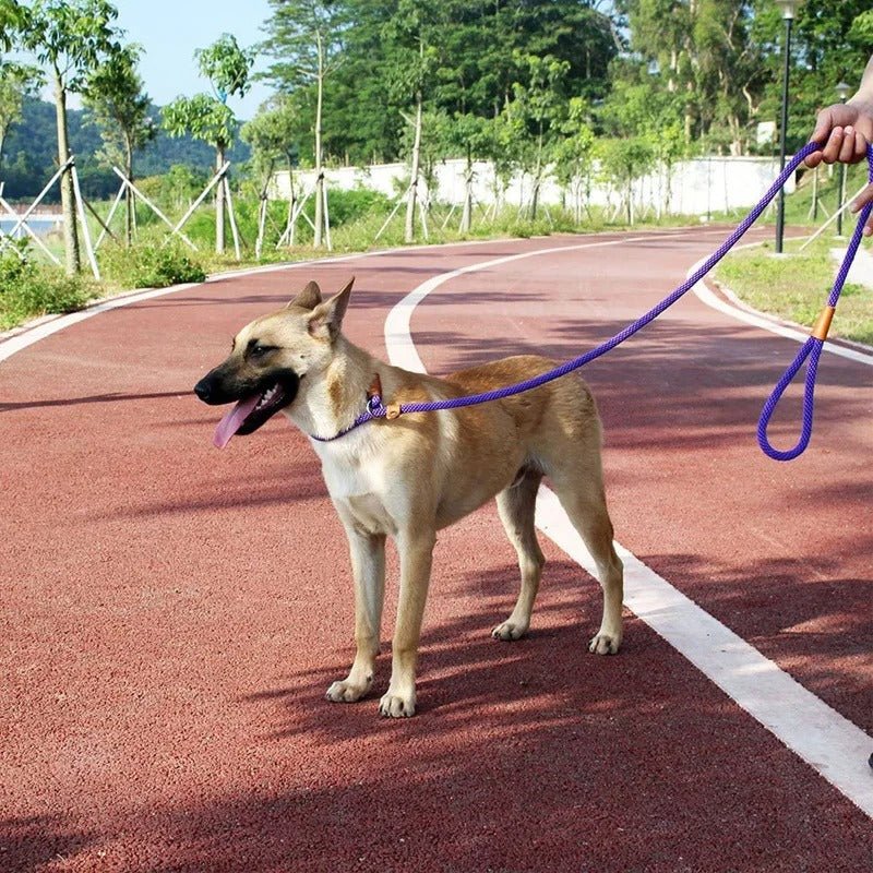 laisse-pour-chien-dogleash-bleu-brun-chien