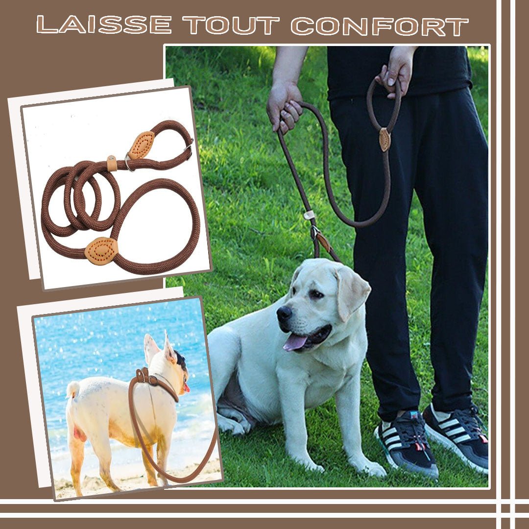 laisse-pour-chien-dogleash-brun-blanc-chien