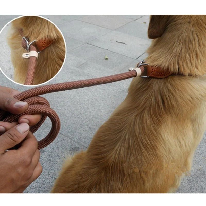 laisse-pour-chien-dogleash-brun-chien