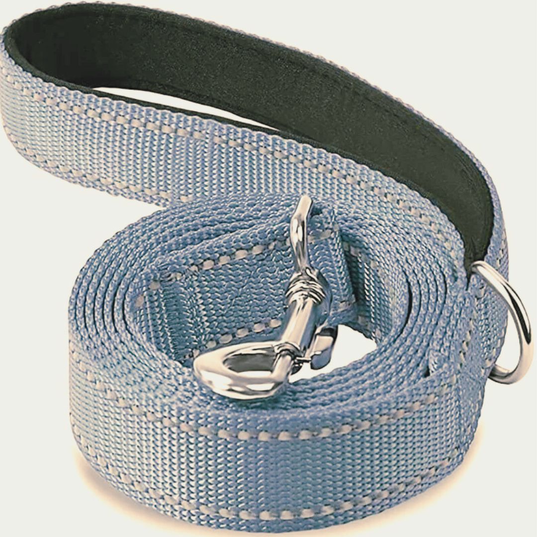 laisse-pour-chien-leaddog-gris-retro-chien