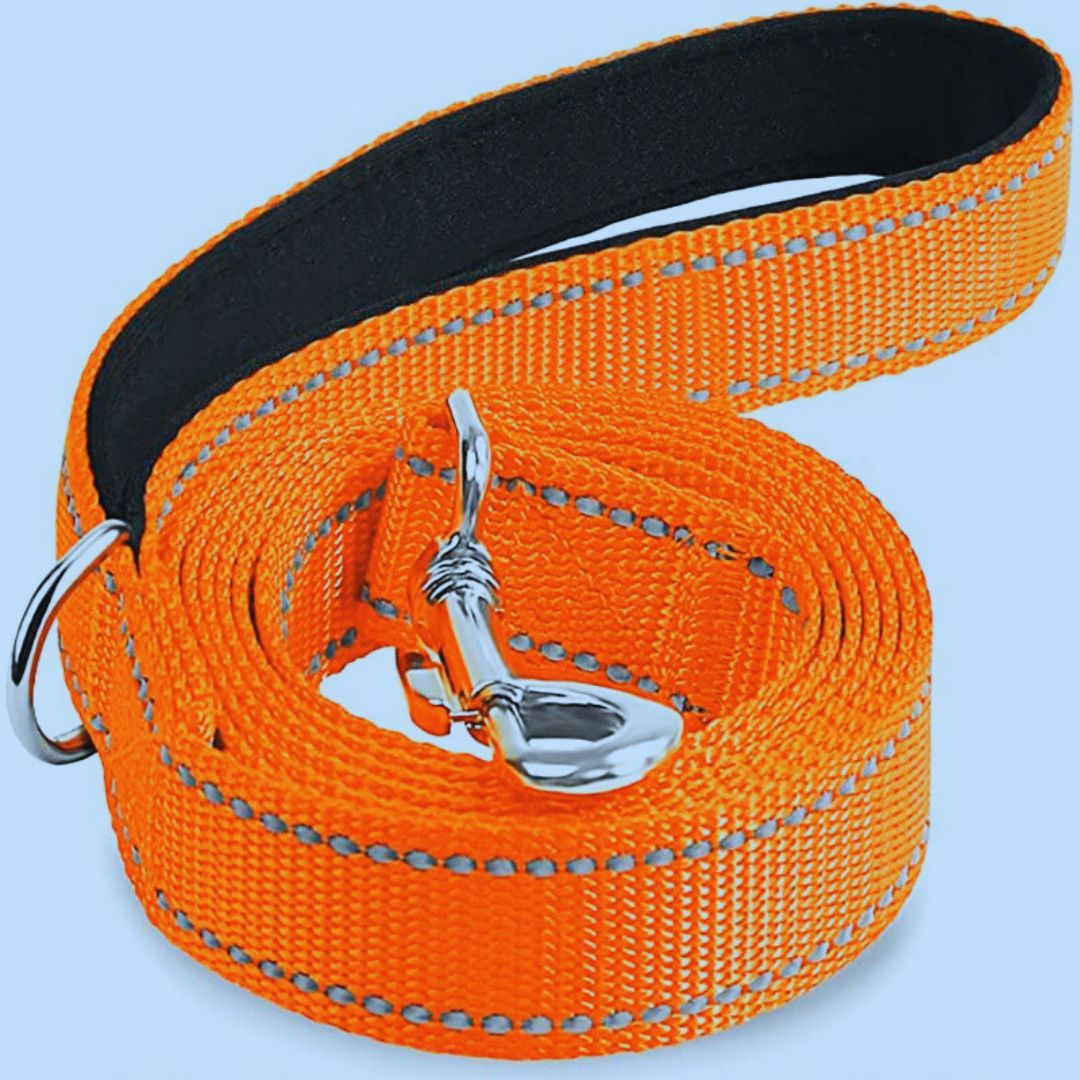 laisse-pour-chien-leaddog-orange-bleu-chien