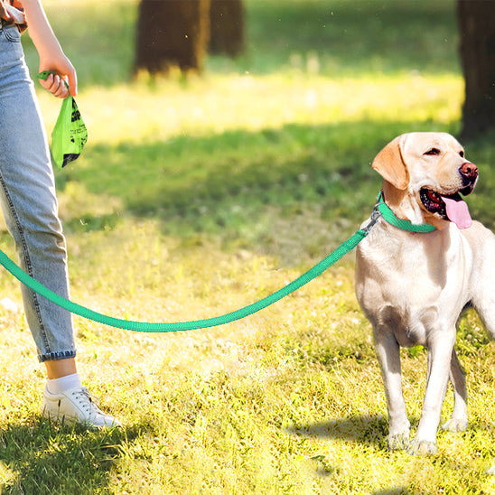 laisse-pour-chien-leaddog-vert-fluorescent-blanc-brun-chien