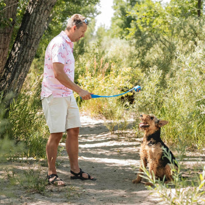Lanceur de balle pour chien BallLaun regarde maitre bleu chien