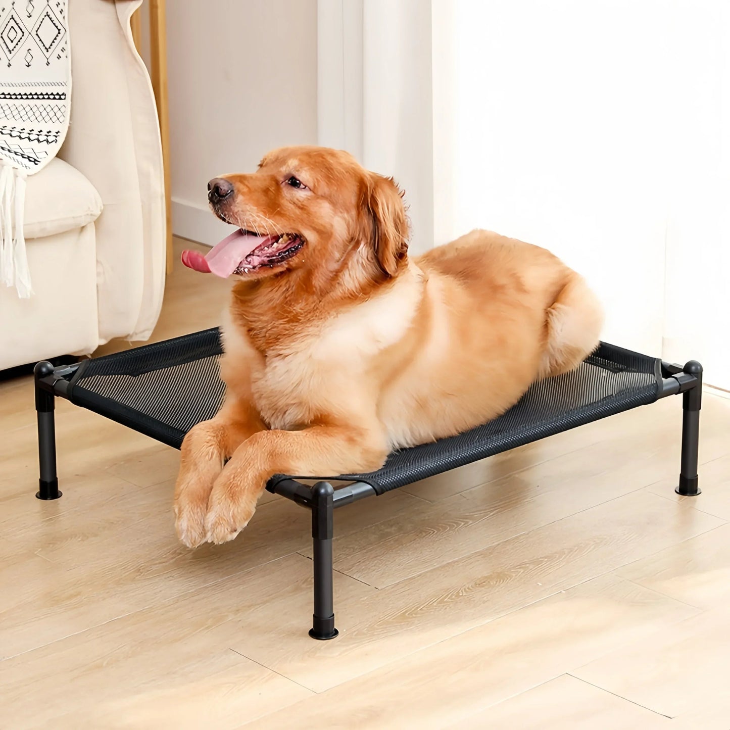 lit-de-camp-pour-chien-campbed-chien-brun-coucher