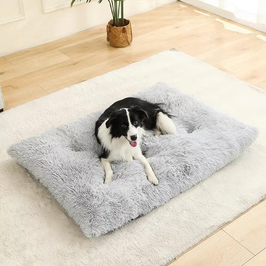 lit-pour-chien-bedfor-chien-blanc-noir-gris