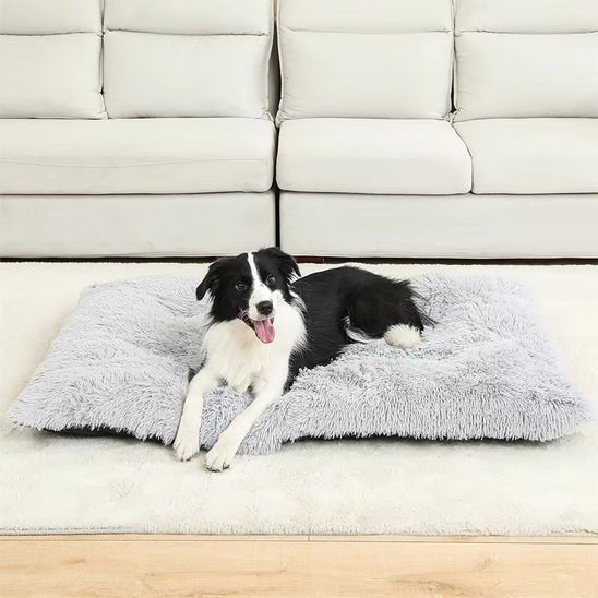 lit-pour-chien-bedfor-chien-blanc-noir