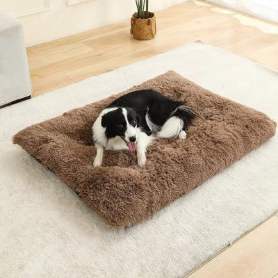 Lit pour chien BedFor chien brun, blanc, noir