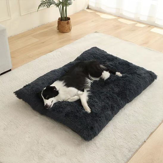 lit-pour-chien-bedfor-chien-noir-blanc