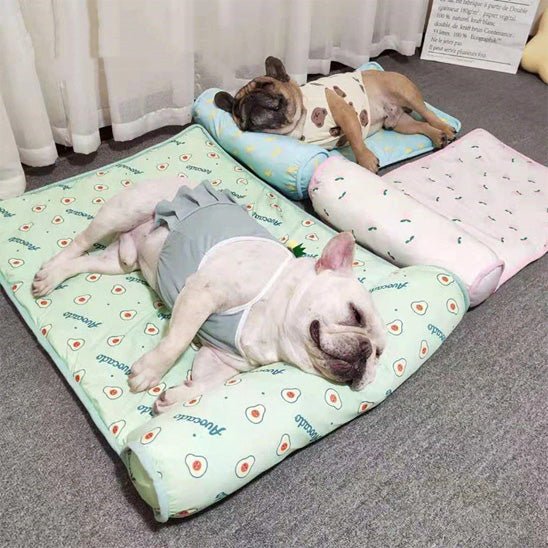 lit-pour-chien-forbed-chien-dormir