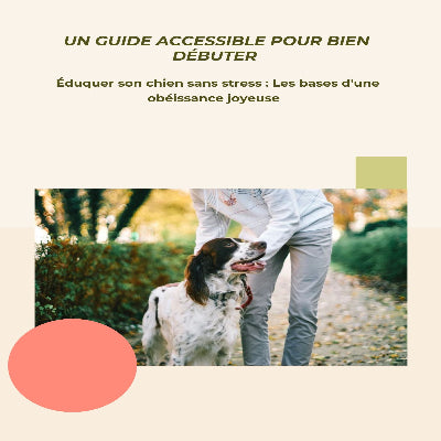 Livre numérique, un guide accessible pour bien débuter