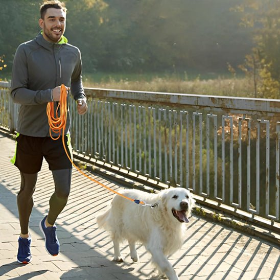 longe-pour-chien-mouk-blanc-orange-chien