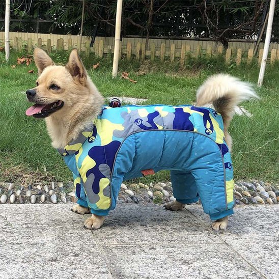 manteau-chien-dogjac-chien-bleu