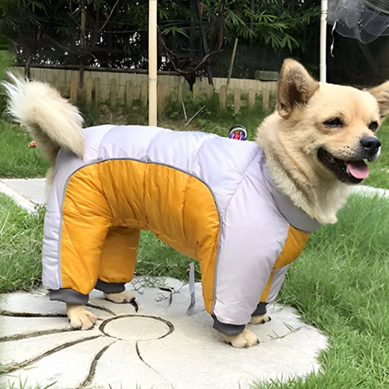 manteau-chien-dogjac-chien-jaune