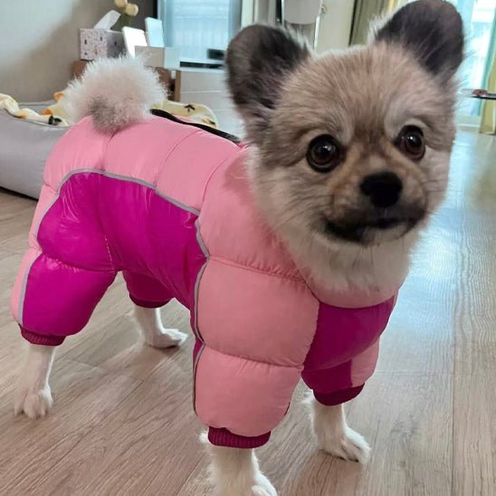manteau-chien-dogjac-chien-rose-gris