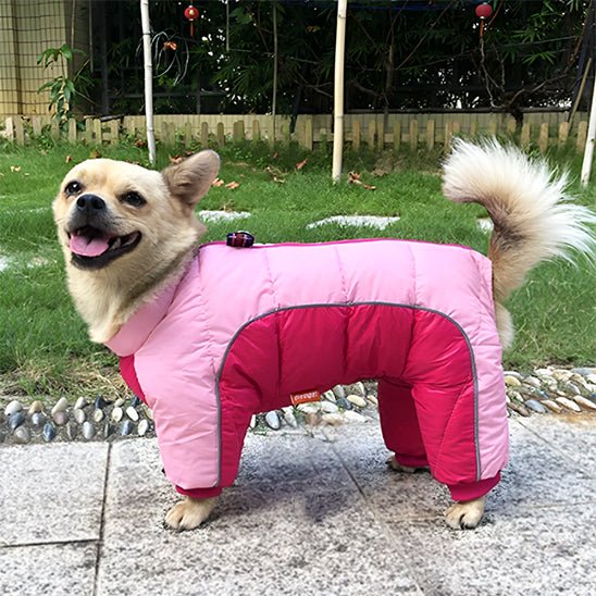 manteau-chien-dogjac-chien-rose