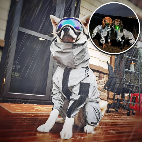 manteau-chien-dogket-brun-blanc-gris
