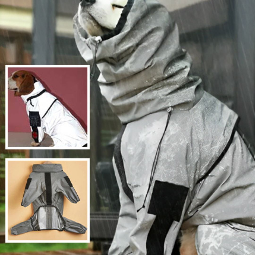 manteau-chien-dogket-brun-gris-blanc