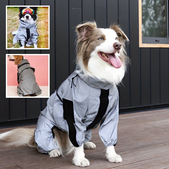 manteau-chien-dogket-gris-chien-brun-blanc