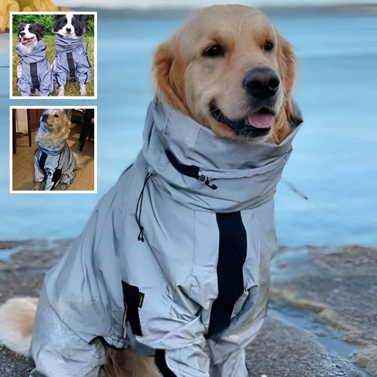 manteau-chien-dogket-gris-chien-brun