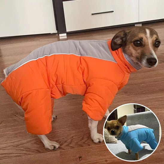 manteau-pour-chien-coat-chien-orange-bleu