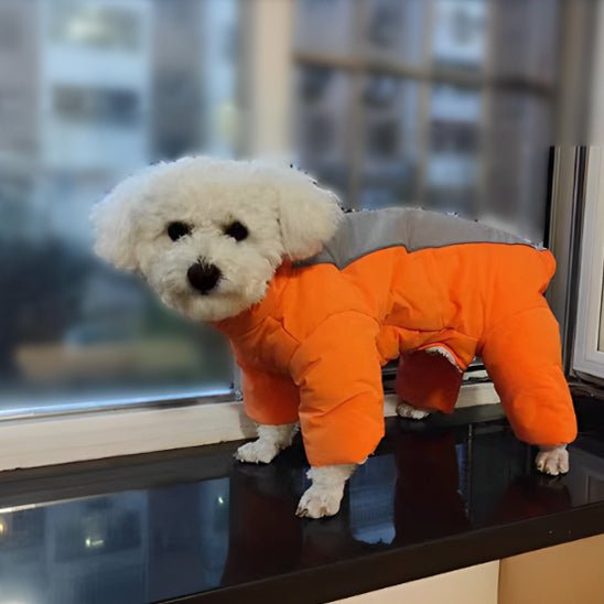 manteau-pour-chien-coat-chien-orange
