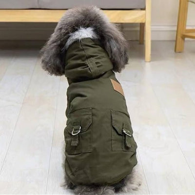 Manteau pour chien doggy chien gris, vert