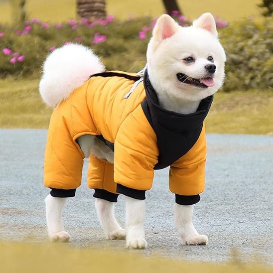 manteau-pour-chien-jacket-chien-jaune