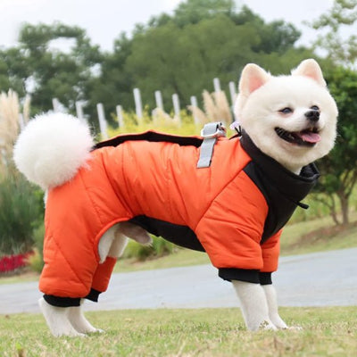 Manteau pour chien jacket chien orange