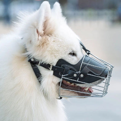 Muselière CanFor assis blanc, noir, chien