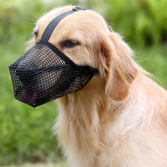 museliere-canyour-noir-beige-assis-chien