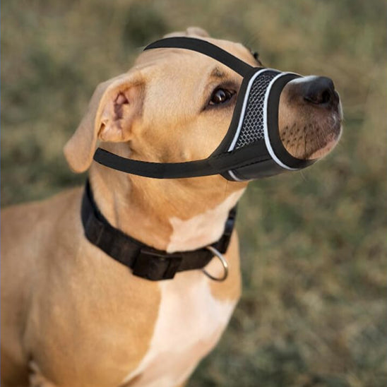 museliere-pour-chien-muzcan-assis-brun-noir-chien