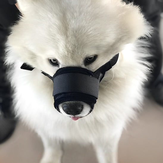 museliere-pour-chien-muznine-blanc-noir-debout-chien